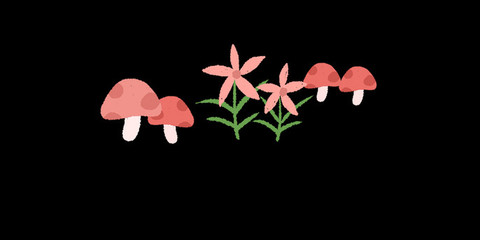 蘑菇花卉图片,蘑菇花卉图片欣赏