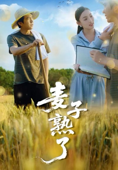麦子熟了（52集）宋雯娟 高清完整版