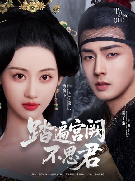 踏遍宫阙不思君（75集）裴子添＆曹赛亚 高清完整版