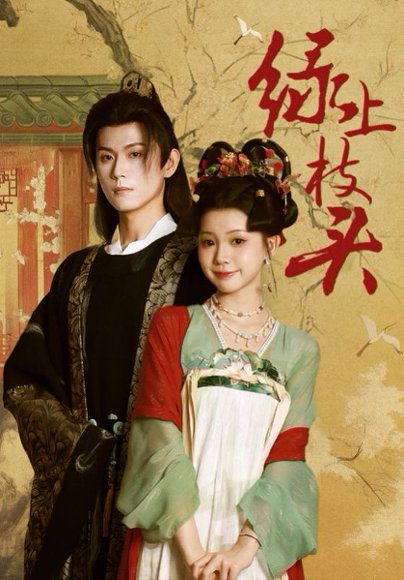 绿上枝头（73集）何善凯＆李丫丫 高清完整版