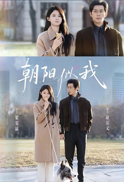 朝阳似我（81集）赵廷义＆梁雯晶 高清完整版