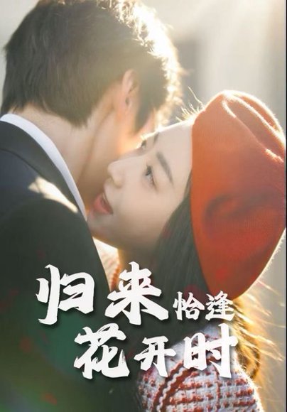 归来恰逢花开时（62集） 高清完整版